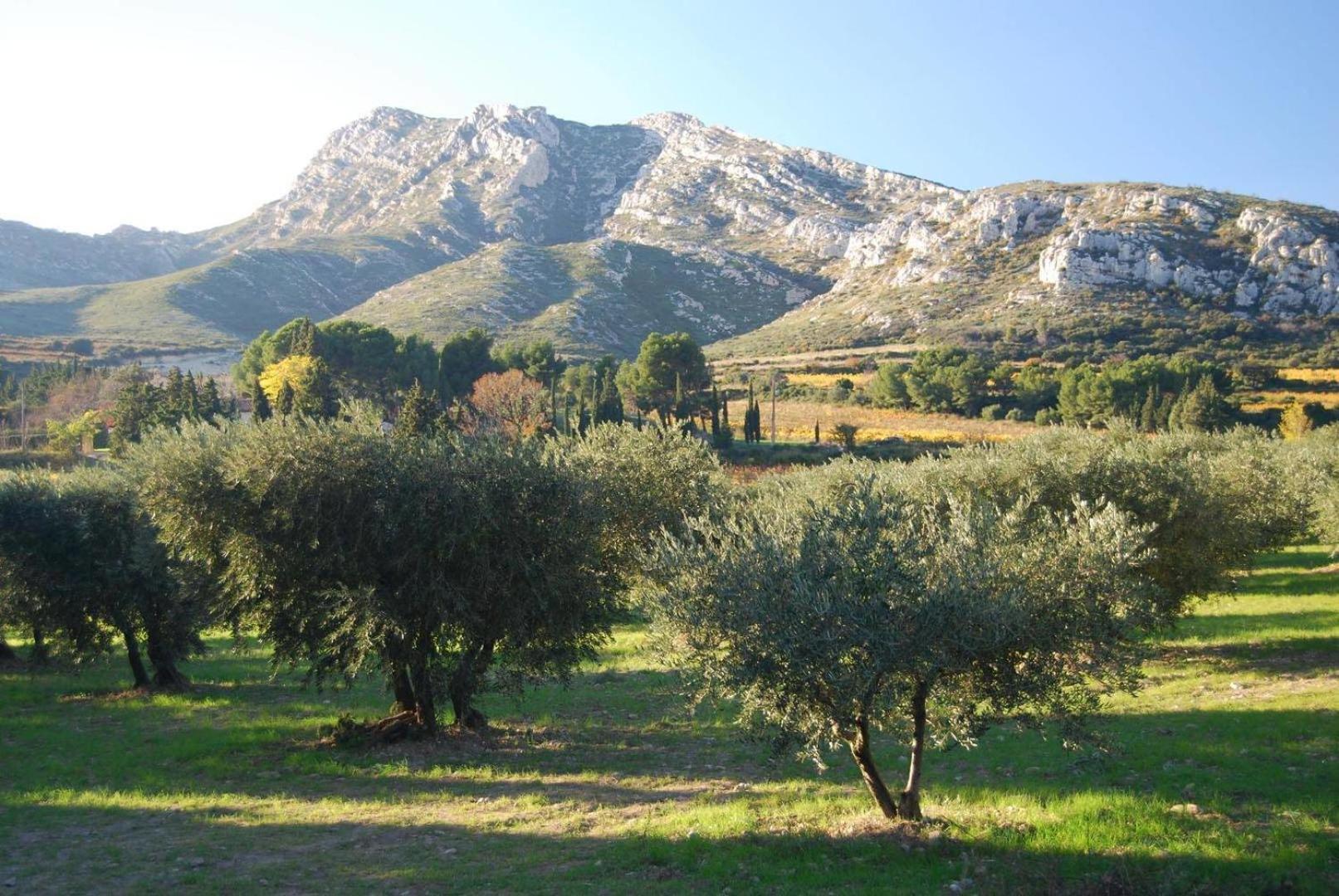 Sous Le Soleil Des Alpilles Appartement Mouries Buitenkant foto
