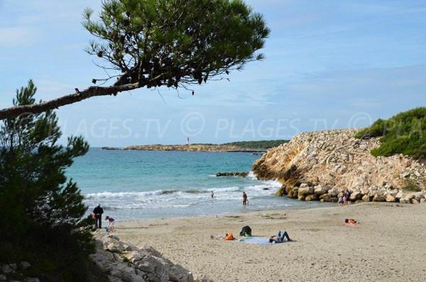 Sous Le Soleil Des Alpilles Appartement Mouries Buitenkant foto